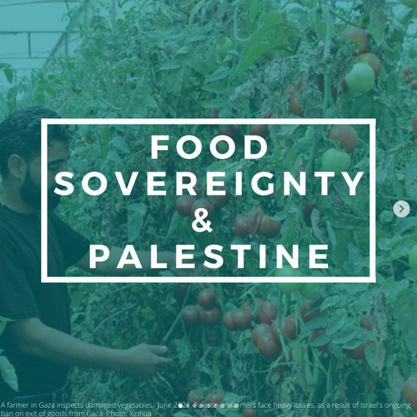 Food Sovereignty & Palestine